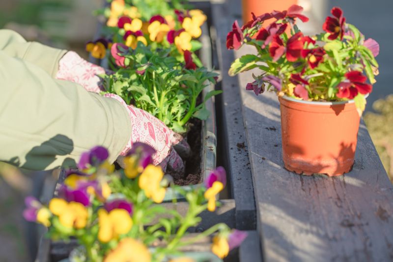 Garden Planting Service in Ventura County, CA